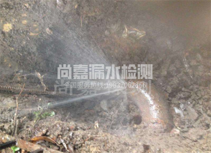 礼泉暖气管道漏水检测